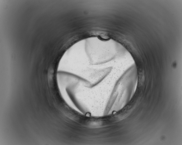 X0000100400263200807032021
