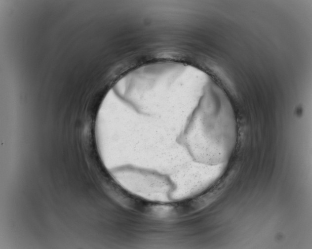 X0000100400265200807032021