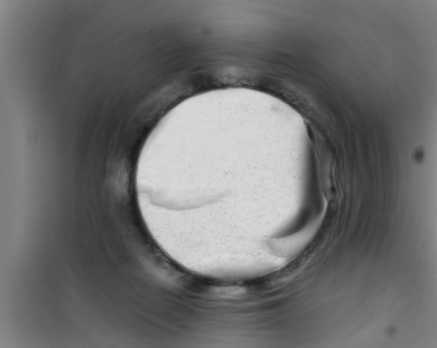 X0000100400266200807032021