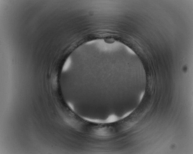 X0000100400267200807032021