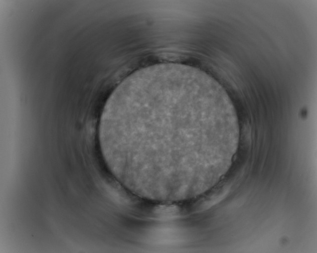 X0000100400271200807032021