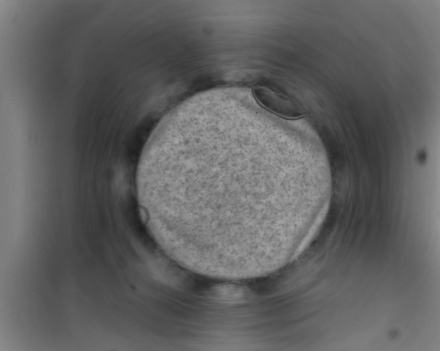 X0000100400272200807032021