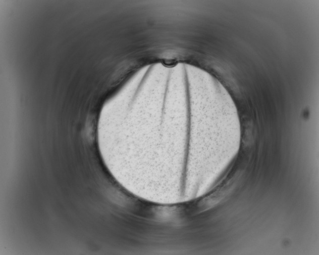 X0000100400273200807032021