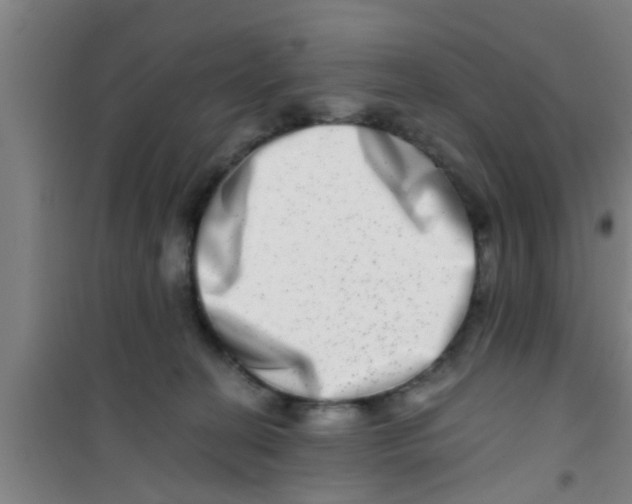 X0000100400274200807032021