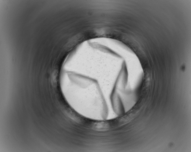 X0000100400275200807032021