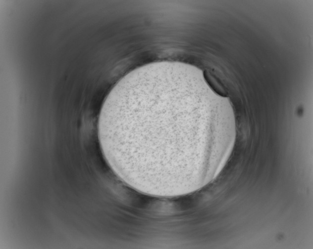 X0000100400276200807032021