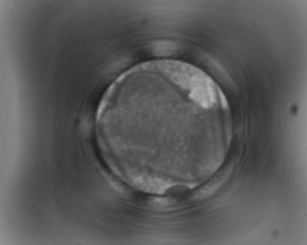X0000100400277200807032021