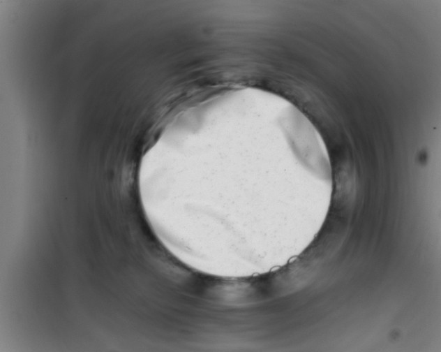 X0000100400278200807032021