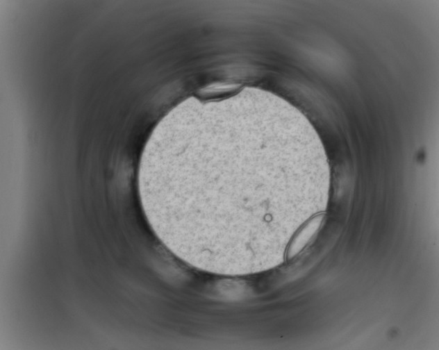 X0000100400279200807032021