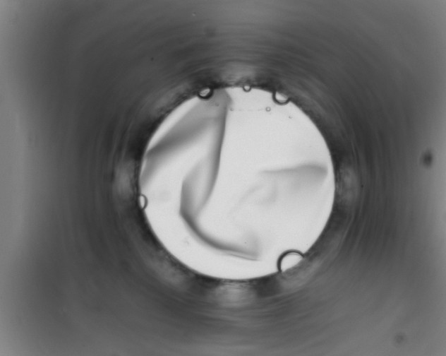 X0000100400280200807032021