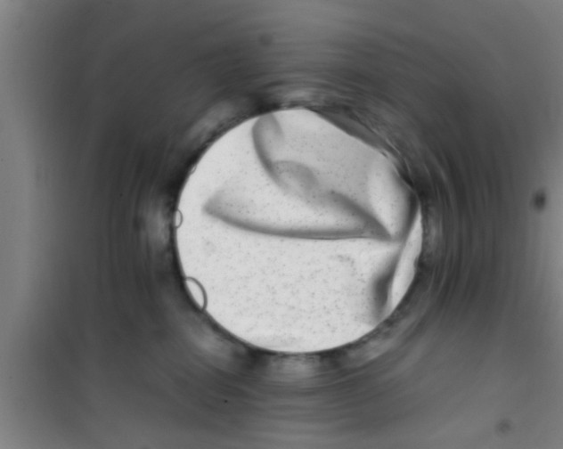 X0000100400282200807032021