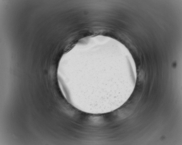 X0000100400283200807032021