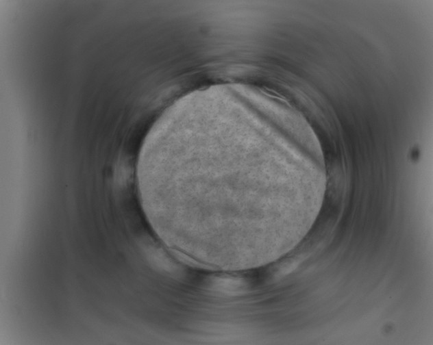 X0000100400284200807032021