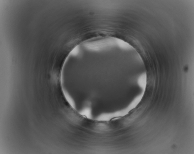 X0000100400285200807032021