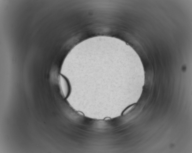 X0000100400287200807032021