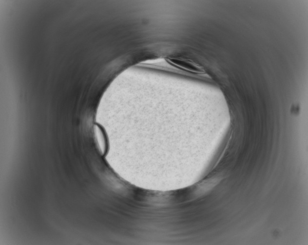 X0000100400288200807032021