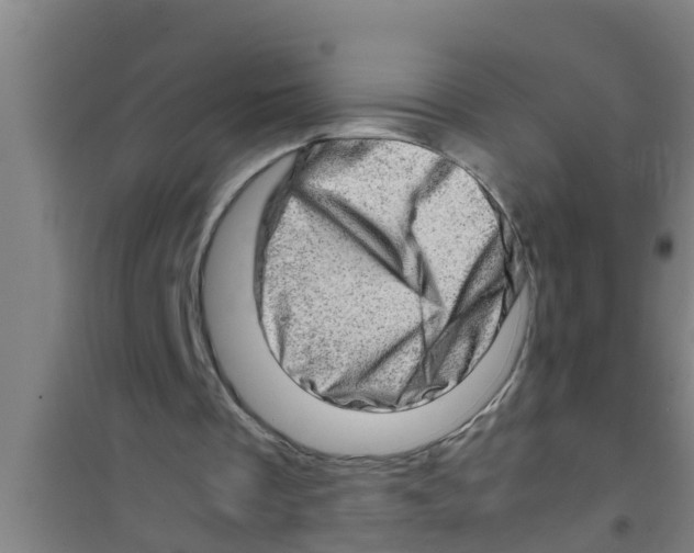 X0000100400289200807032020
