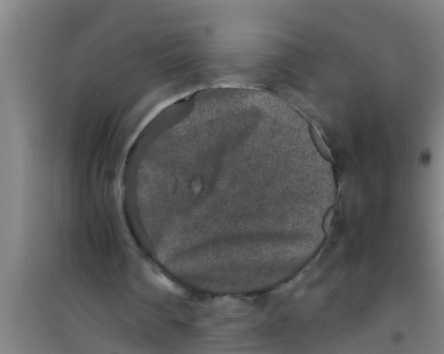 X0000100400290200807032020