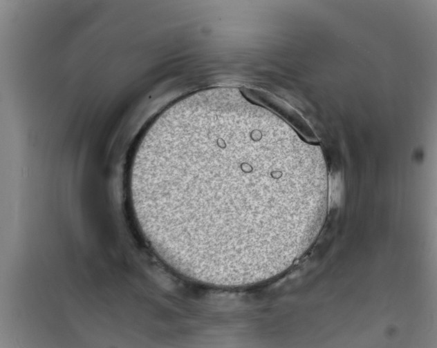 X0000100400291200807032020