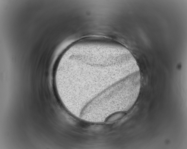 X0000100400294200807032020