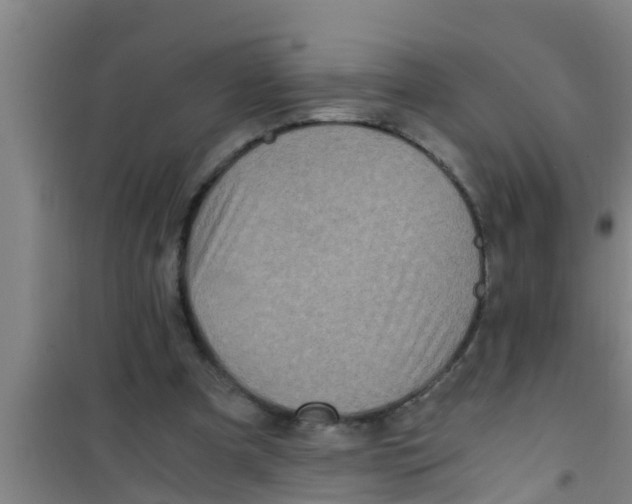 X0000100400297200807032020