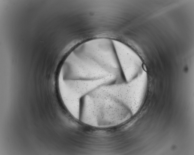 X0000100400298200807032020