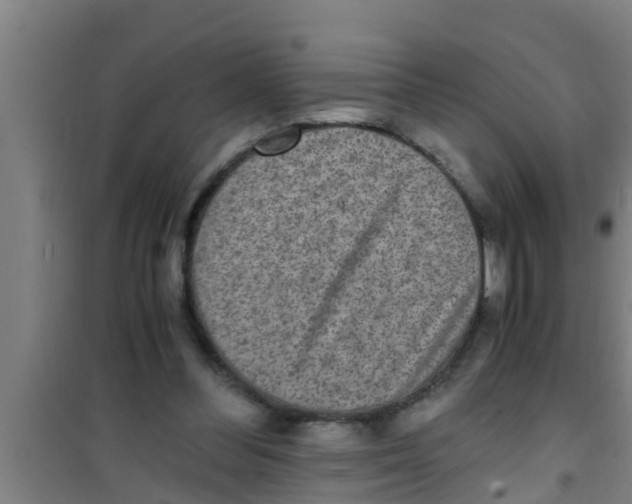 X0000100400300200807032020
