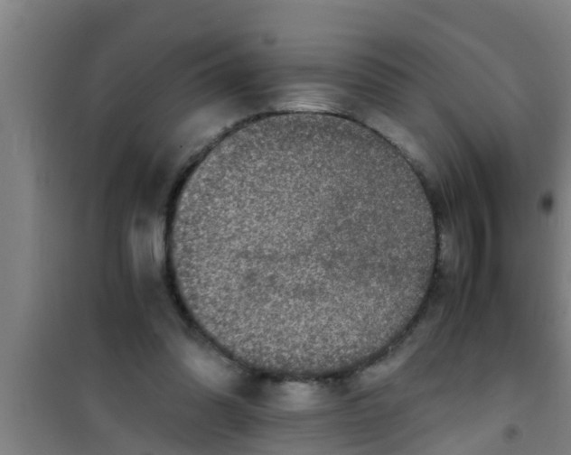 X0000100400302200807032020