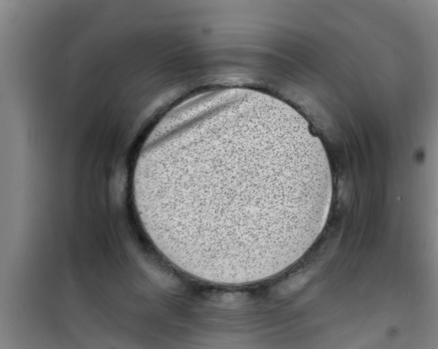 X0000100400304200807032020
