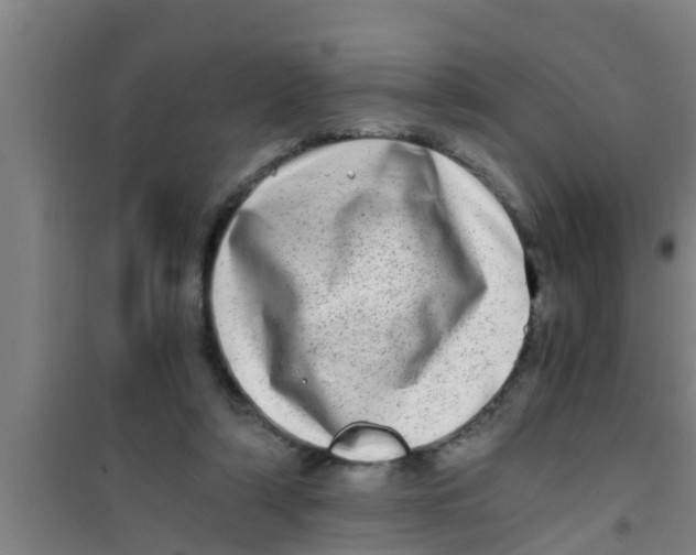 X0000100400306200807032020