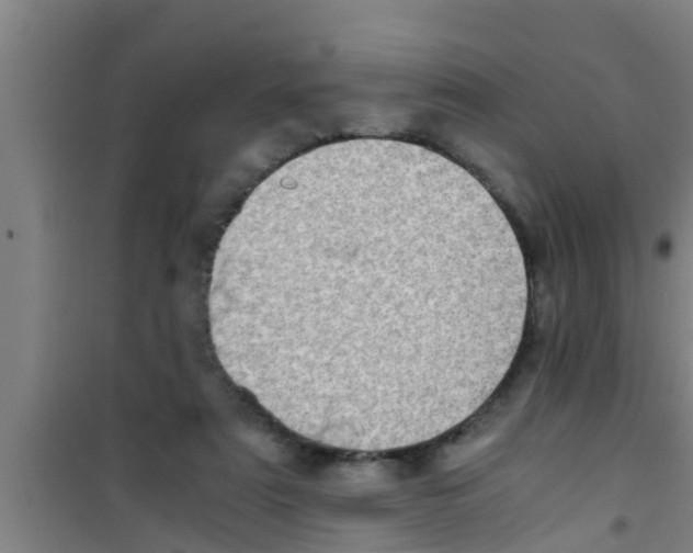 X0000100400307200807032020