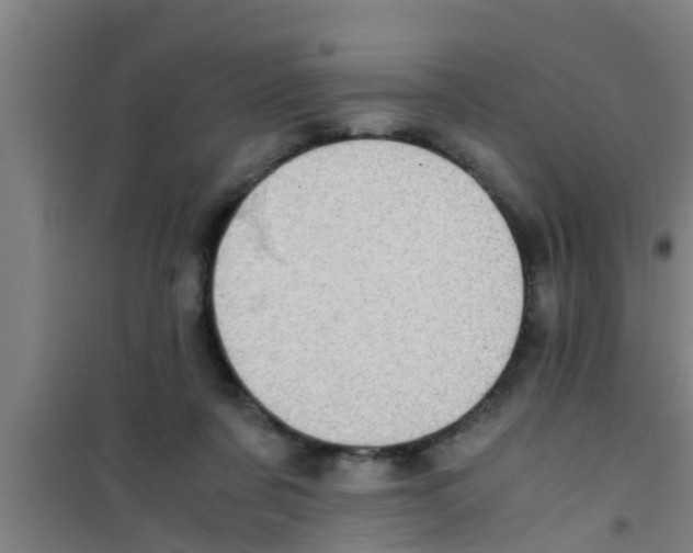 X0000100400311200807032020