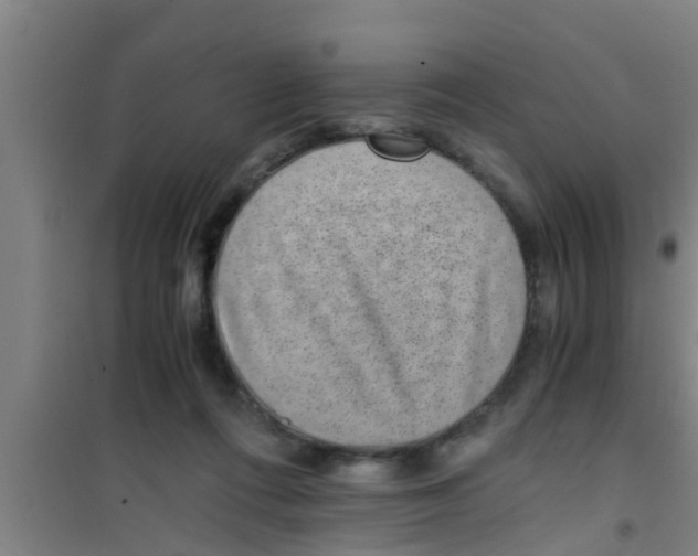 X0000100400312200807032020