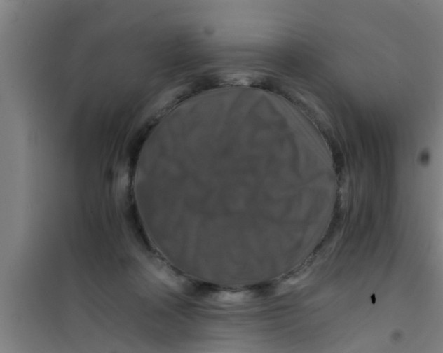 X0000100400314200807032020