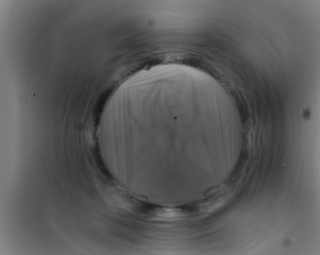 X0000100400316200807032020