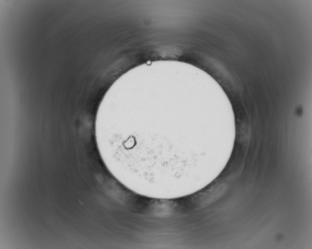 X0000100400321200807032020