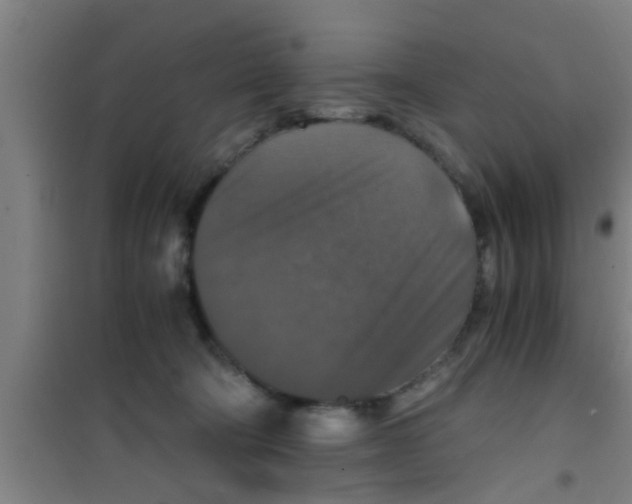 X0000100400322200807032020