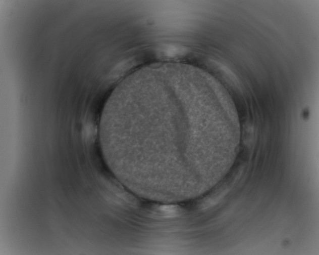 X0000100400324200807032020