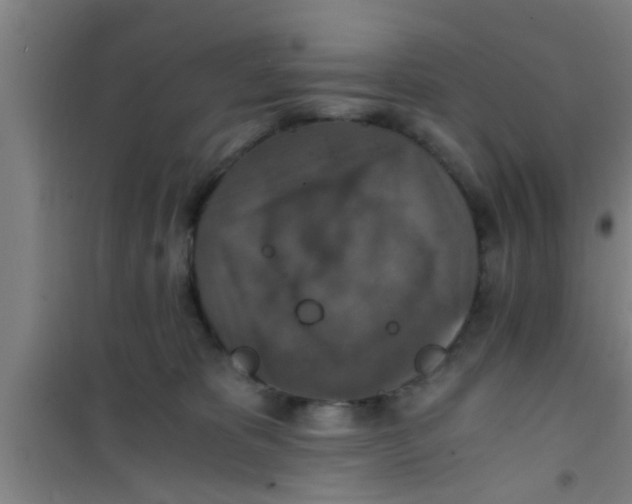 X0000100400325200807032020