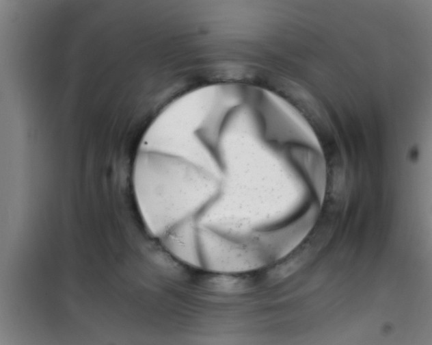 X0000100400326200807032020