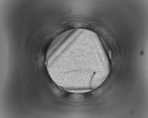 X0000100400327200807032020