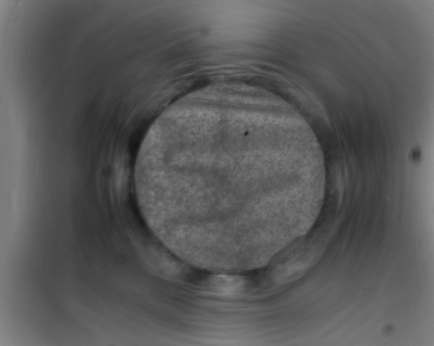 X0000100400328200807032020