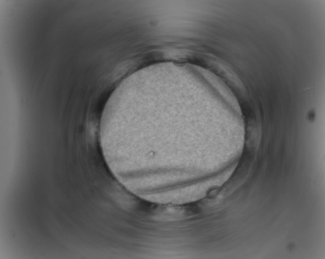 X0000100400329200807032020