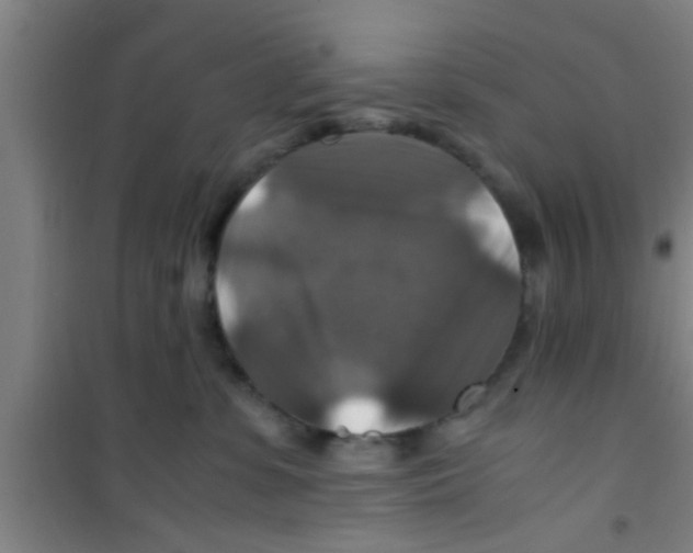 X0000100400331200807032020