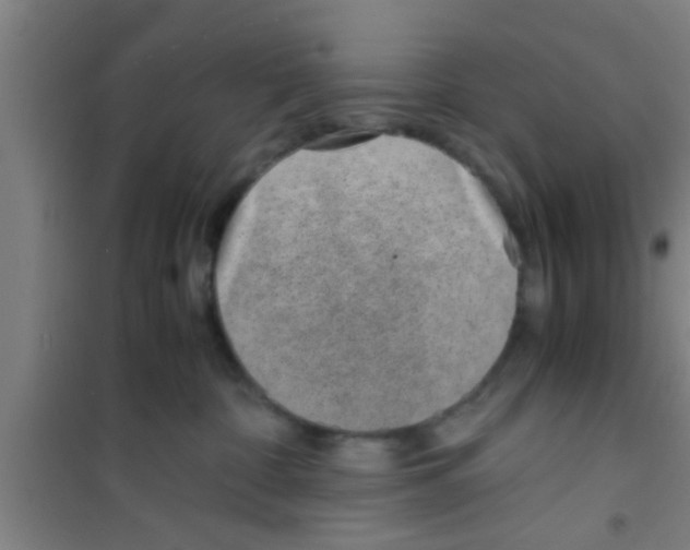 X0000100400332200807032020