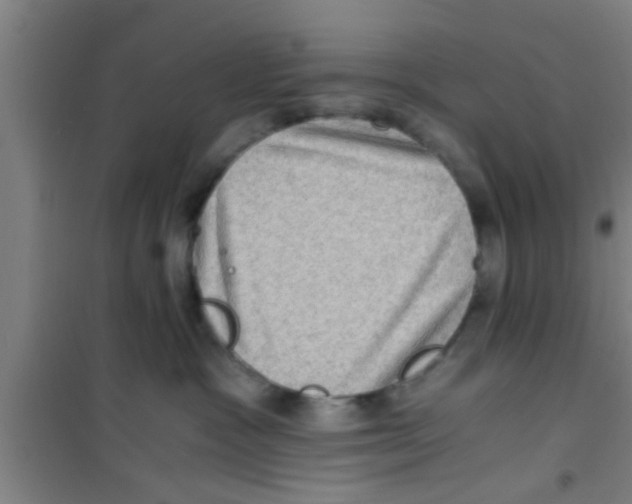 X0000100400333200807032020