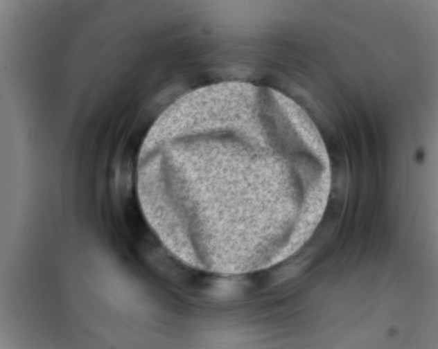 X0000100400334200807032020