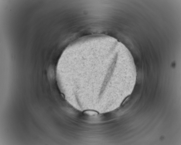 X0000100400335200807032020