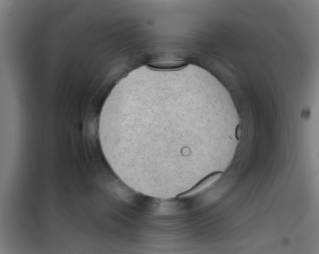 X0000100400336200807032020