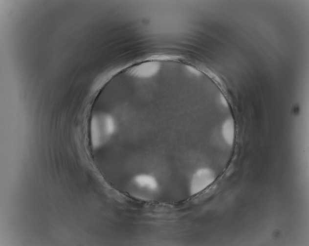 X0000100400337200807032019